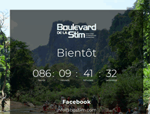 Tablet Screenshot of bdstim.com
